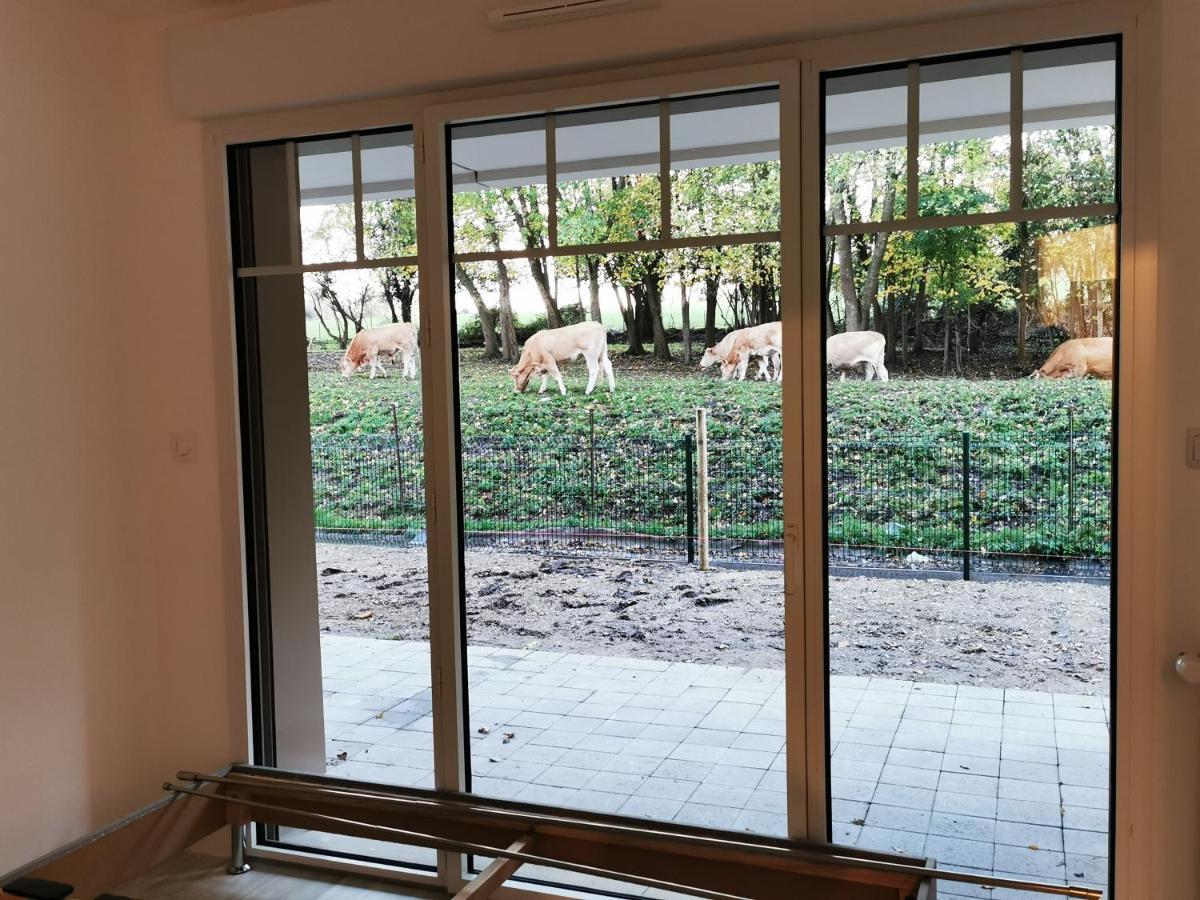 Apartment Le Temps D'une Escale A St Wary *