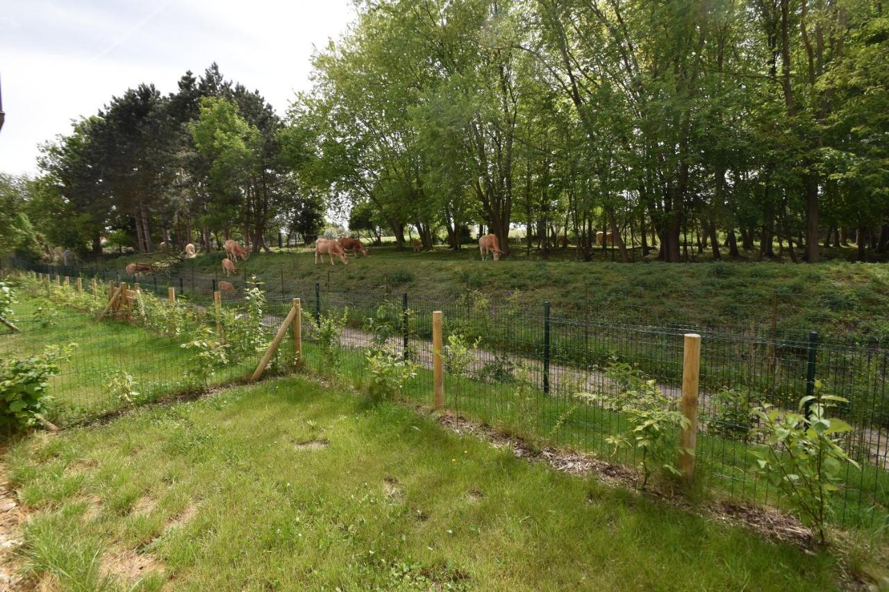 Le Temps D'une Escale A St Wary Saint-Valery-sur-Somme